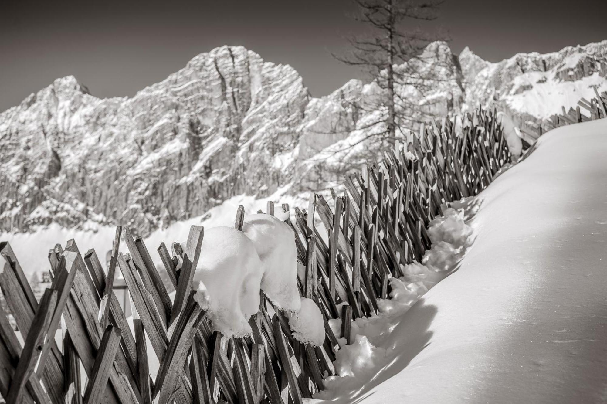 Naturchalet Hoeflehner - Heimgefuehl & Ruhelage An Loipe & Wanderweg Ramsau am Dachstein Exterior photo